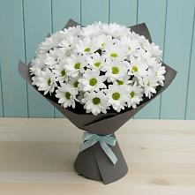 Букет цветов из:  Хризантемы #REPLACE_PRED# Дмитриевке