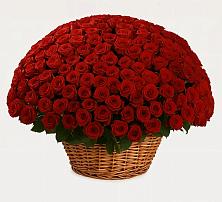 Премиум букет из: Розы в Дмитриевке